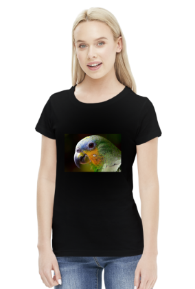 Parrot