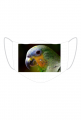 Parrot
