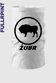 Komin z Żubrem