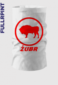 Komin z Żubrem