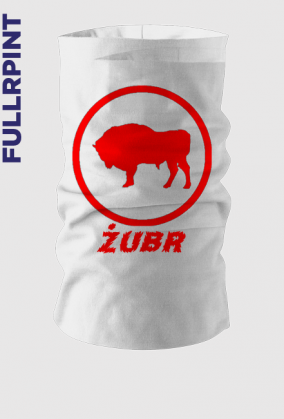 Komin z Żubrem