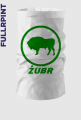 Komin z Żubrem