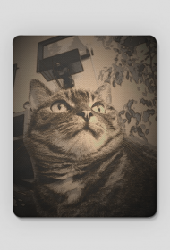 Podkładka pod mysz Vintage Kitty 1