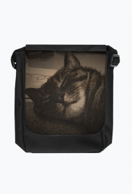 Torba Reporterka Vintage Kitty 2