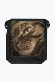 Torba Reporterka Vintage Kitty 4