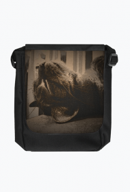 Torba Reporterka Vintage Kitty 6