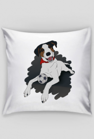 Poduszka Jack Russell Terrier
