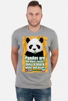 Panda planeta stop rasizm. Pada