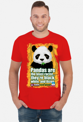 Panda planeta stop rasizm. Pada
