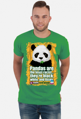 Panda planeta stop rasizm. Pada