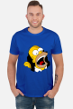 HOMER