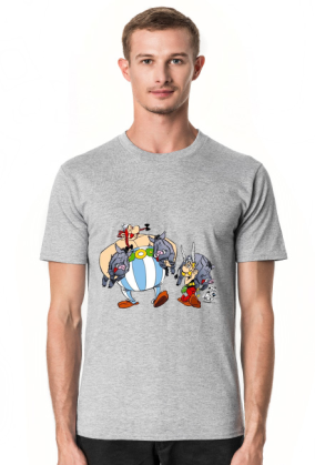 ASTERIX  OBELIX NA DZIKACH