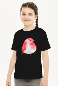 koszulka dziecięca zptaszkiem