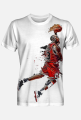 Chicago bulls