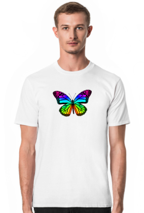 Motyl LGBT