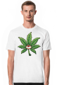 ganja