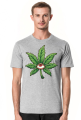 ganja