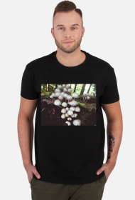 White Mushroom Family Black