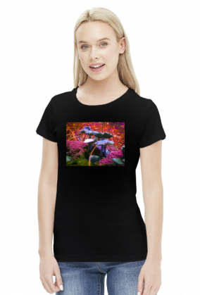 Mushroom Tales Magic Colours Black Lady