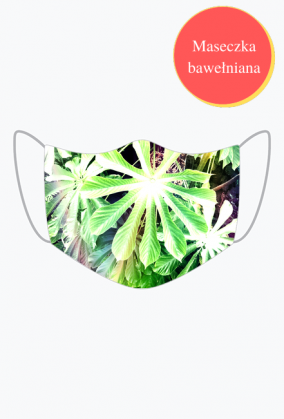 Magic Leaves Mask
