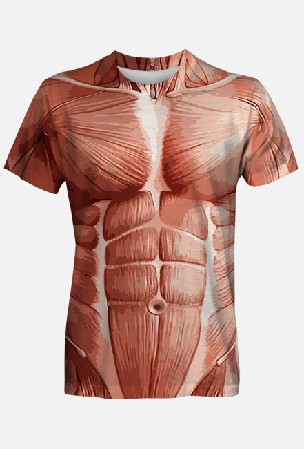 Układ mięśniowy mięśnie anatomia człowieka