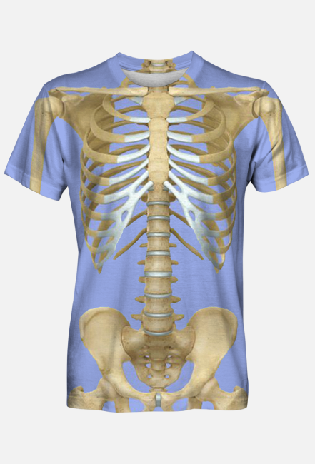 Układ kostny, szkieletowy