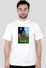 I love Minecraft