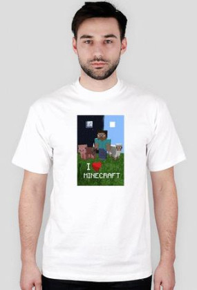 I love Minecraft