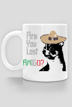 Amigo