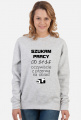 Praca Marzeń (bluza damska klasyczna) cg