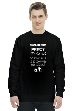 Praca Marzeń (bluza męska klasyczna) jg