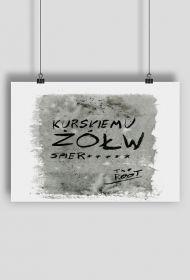 Kurskiemu żółw spier*****