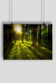 relaksujący plakat green forest