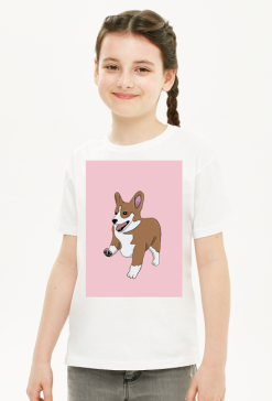 Corgi