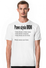 Prawo użycia Broni