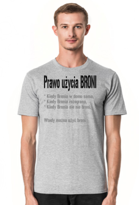 Prawo użycia Broni