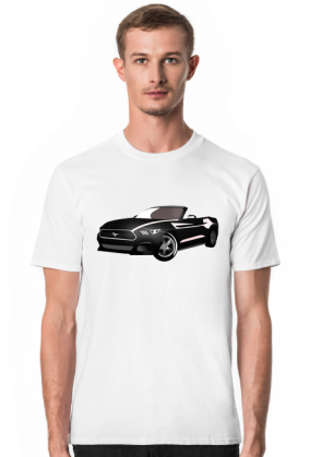 Mustang VI Gen.