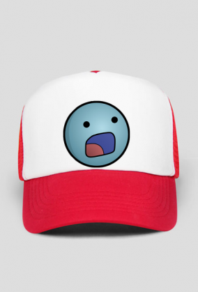 D: Czapka