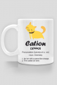 Cation