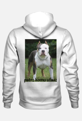 bluza