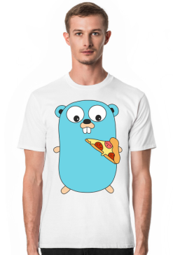GO pizza