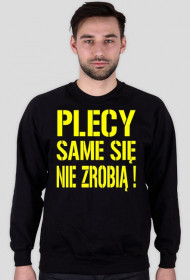 Plecy