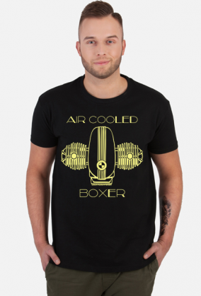 air cooled