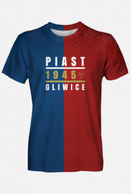 Piast Gliwice (fullprint)