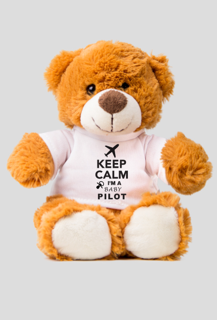 Mis dla dziecka pilota