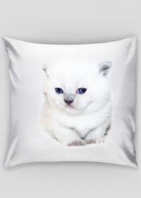 Słodka poduszka z białym kotkiem