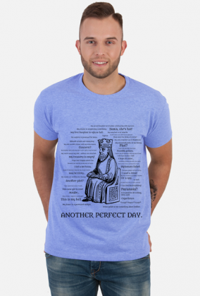 Kolejny Doskonały Dzień - koszulka męska