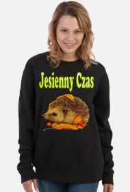 BLUZA DAMSKA ,,JESIENNY CZAS,,