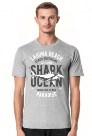 Shark Ocean