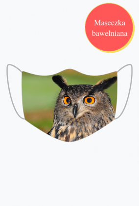 SOWA